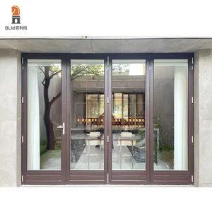 Installation de patio à deux volets en aluminium robuste de conception moderne avec ouverture pliable pour porte pliante de sécurité dans la cour