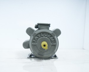 Motor de Inducción Monofásico Bhavi Industries 3HP BI-3-P, 2.25KW, 210-230V, 1500 RPM, Cuerpo de Acero Suave, TEFC, CSCR, Montaje en Pedestal, IE2 - Product Image 4