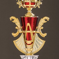 Medallas y Trofeos Personalizados Talla L para Taekwondo, Lucha de Brazos, Lucha Libre, Judo GD12