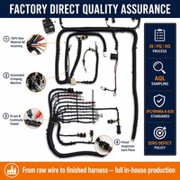Kabel Harness Mobil Langsung dari Pabrik OEM ODM Kabel Unit Kontrol Mesin Bodi