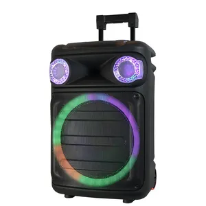 Buiten Draagbare Trolley Speaker 15 Inch Draadloos Geluidssysteem Met Subwoofer