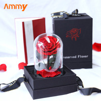 AM-PFA02 Petite fleur rouge préservée sous cloche en verre éternelle pour la fête des mères, Pâques, décoration murale, Saint-Valentin, Nouvel An