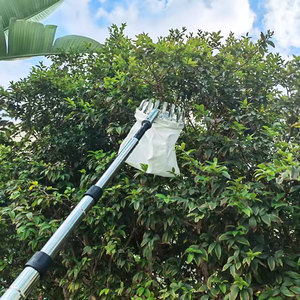 Tige télescopique longue portée pour cueillir les fruits du jardin, panier de cueillette en métal pour vergers, attrapeur de pommes et de pêches - Product Image 2