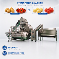 Stoomdruk-schilmachine voor zoete aardappel, wortel, ui - Schilmachines voor snackvoedselverwerkingsfabrieken