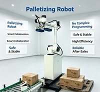 Robot de Paletización Colaborativo Flexible, Operación Manos Libres, Paletizador Automático de Cajas para Diversas Industrias Manufactureras