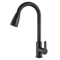 Robinet de cuisine moderne en acier inoxydable avec douchette extractible pour projets de logement locatif à petit budget