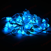 Guirnalda de Luces Inteligente con Control por Aplicación, Impermeable IP65, Programable para Contornos de Edificios y Jardines