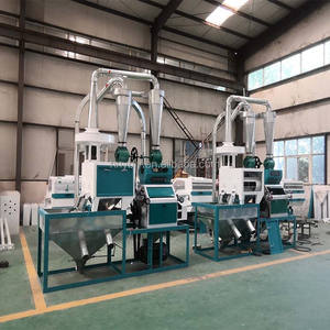 10 טון ליום קמח חיטה בסין - Product Image 3