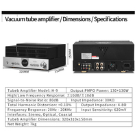 Amplificateur à Tube à Vide Triode Haute Puissance TB Multifonctionnel HIFI Audio Domestique avec Système Audio Coaxial à Fibre Optique