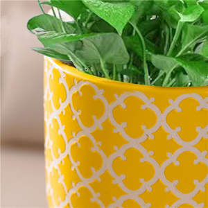 RTS Haute Qualité En Céramique Ornement De Noël Tasse Planteur Conteneur <span class=keywords><strong>Petit</strong></span> Pot De Fleur Imité Blanc Jaune Pots pour Plante - Product Image 2