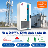 Système de stockage d'énergie à refroidissement liquide 100 kWh 261 kWh 125 kW, système de stockage d'énergie industriel et commercial BESS, batterie Lifepo4, conteneur extérieur IP54