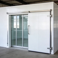 Chambre froide de plain-pied, congélateur rapide pour restaurant, contrôle automatique de la température, dimensions personnalisées pour la marque