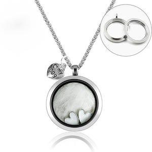 Collar Conmemorativo <span class=keywords><strong>de</strong></span> Acero Inoxidable para Mascotas, para Guardar Dientes y Pelo, Ecológico, para Uso en Exteriores, Colgante <span class=keywords><strong>de</strong></span> Corazón para Perro, Abrible, DIY - Product Image 1