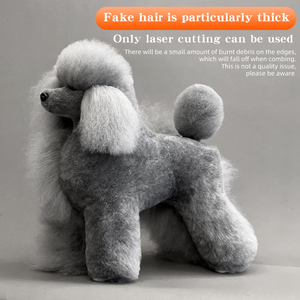 Pet Simulation Hair Beauty Beautician Practicing <b>Dog</b> Standard Poodle Full Body Skeleton Model <b>Dog</b> for Pet Grooming - Product Image 3