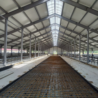 Structure en acier préfabriquée antirouille pour bâtiment d'élevage de vaches laitières en zone côtière