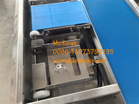 Potao Ui Plantaardige Kwantitatieve Weegmachine Passievruchten Handmatige Riem Slimme Combinatie Weger