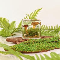 Petits spécimens de plantes séchées pour taxidermie, décoration biologique, champignons, artisanat en résine fait main