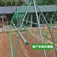 Max Yield Budget Choice Ultra Lichtgewicht Hittebestendig 30cm Mesh Maagdelijk HDPE Heavy Duty Ranknet Fruitbescherming Kalkoennet Huis