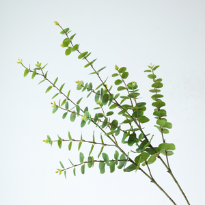 Plante artificielle d'eucalyptus de simulation, aspect film d'impression 3D, 97 cm de hauteur, en PVC souple, décoration verte, fabriquée en Chine - Product Image 1