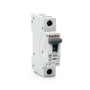 ETM8 1P MCB 6KA CE 40 amperios 32a sobrecarga corta AC potencia de alta calidad Din Rail Mount doble polo