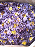Bunga Teratai Biru Kering Pilihan, Bunga Lotus Utuh, Herbal Bunga Mesir untuk Ramuan Herbal yang Menenangkan