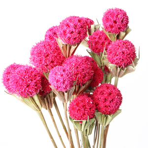 Lulutong ventes directes nouveau Style chinois bricolage Arrangement de fleurs matériaux <span class=keywords><strong>Bouquet</strong></span> de fleurs séchées pour la fête des mères - Product Image 6