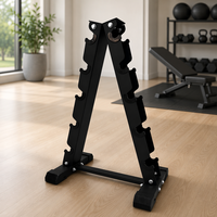 Support de rangement autoportant pour haltères en acier, 10 paires, avec revêtement en caoutchouc, idéal pour l'entraînement en salle de sport – Vente directe usine