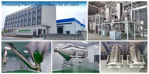 Sempervivum Tectorum fabbrica fornitura di buona qualità migliore vendita Sempervivum Tectorum estratto in polvere - Product Image 5