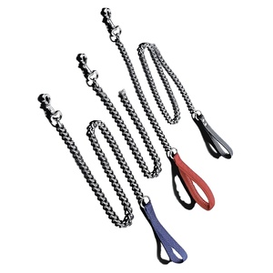 Ketten leine für kleine Hunde, Hochleistungs-Metall-Hunde leine Langlebige, stark kau feste Welpen leinen - Product Image 2