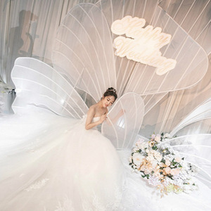 ฉากหลังกลีบผีเสื้อเหล็กใหม่สำหรับงานแต่งงาน ฉากเวที อุปกรณ์ประกอบฉาก และการตกแต่งงานอีเว้นท์ในห้างสรรพสินค้า - Product Image 4