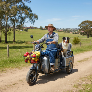 Tricycle électrique HLD 500W à deux places, scooter de mobilité fiable à 3 roues pour les sorties en famille <span class=keywords><strong>et</strong></span> le transport de marchandises - Product Image 2