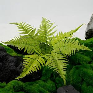 Fougère de Boston Artificielle Effet Naturel 42CM, en Plastique Durable, pour Maison, Bureau, Halloween, Pâques, Noël, Thanksgiving, Nouvel An - Product Image 5