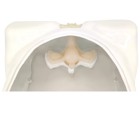Dispositif de simulation d'hystéroscopie scientifique médicale pour l'enseignement du modèle humain de chirurgie gynécologique hystéroscopique
