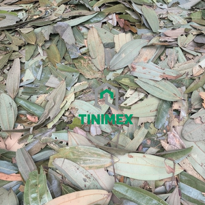 Feuilles de cannelle séchées au soleil propres, dalchini aromatique Patta Hojas de Canela pour les importateurs d'épices - Product Image 1