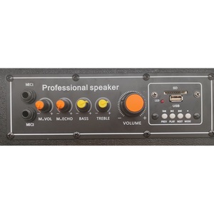 Altavoz Profesional para Web de 12 Pulgadas, Amplificado, Bluetooth, 250W de Potencia Máxima - Product Image 4