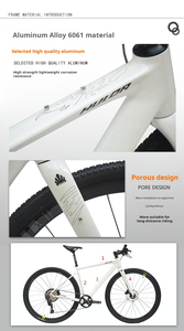 Vélo de route en aluminium léger de 10,8 kg, 700C, fourche rigide en fibre de carbone, 4100-10 vitesses avec réglages multiples - Product Image 6