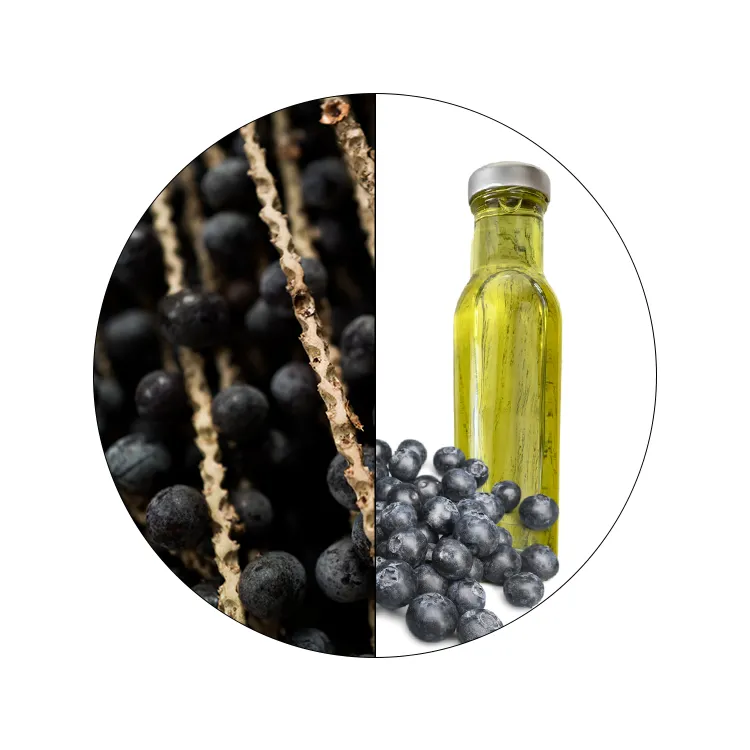 Health Care Natural Organic Acai Berry Extract Oil Antioxidant Skin Care Product Superfood Extract Oil