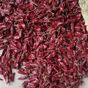 Peperoncino Rosso Intero Secco AD di Grado Premium, Piccante e Dolce, all'Ingrosso dalla Cina Shandong, Piccante Leggermente, Little Spicy Yidu Chilli Beijinghong - Product Image 1