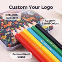 Ensemble de 12 crayons de couleur en bois, étui en métal, corps estampé à chaud or, pré-affûtés, non toxiques, pour enfants, cadeau scolaire, logo personnalisé OEM ODM