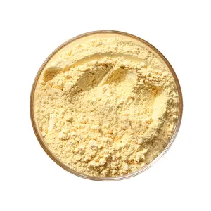 Wholesale Top Bulk Nutrition Yeast For Food Spice As Enhancer Brewers Yeast Extract
