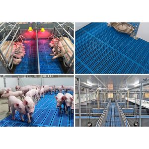 Soluzioni Innovative per l'Alimentazione dei Suini Pavimento a Griglia in Plastica per Allevamenti di Maiali - Product Image 6