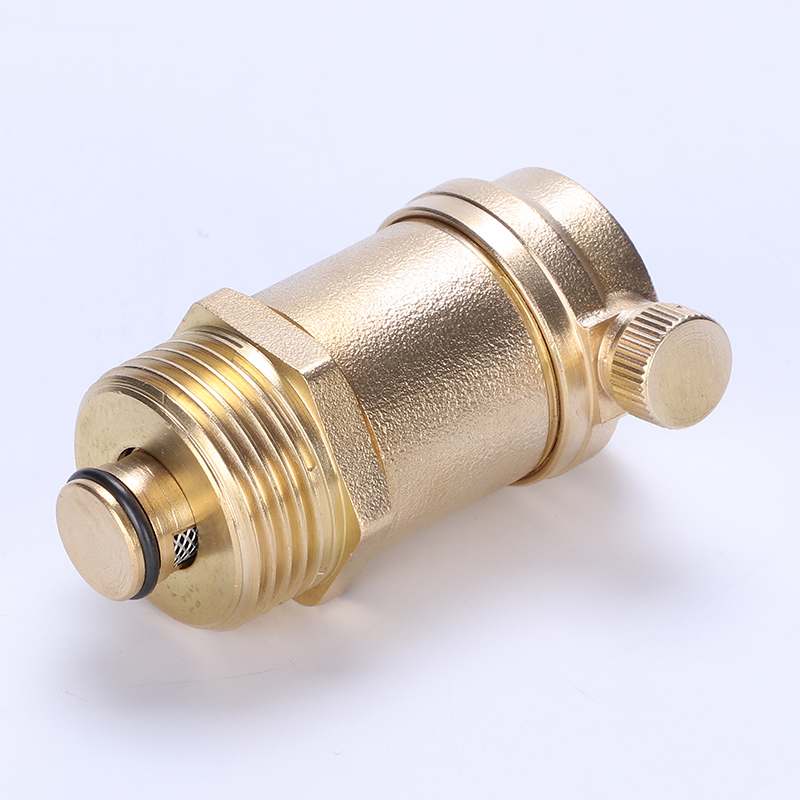 High quality brass automatic exhaust steam valve