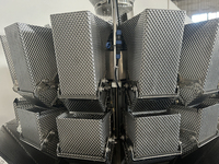 Machine d'emballage et d'emballage automatique multi-têtes pour poissons et fruits de mer congelés, haute productivité, certifiée CE pour les petites entreprises