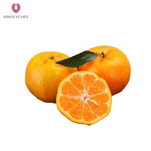 Üst sınıf çin mandarin turuncu düşük fiyatlar organik taze göbek turuncu tatlı taze narenciye mandarin - Product Image 6
