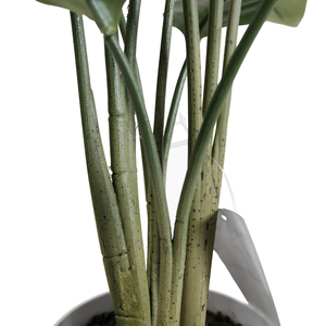 Árbol de Plátano Artificial al por Mayor, Mini, de Primera Calidad, Apariencia Realista, Tacto Real, Decoración para Interiores, Jardín, Hotel, <span class=keywords><strong>Ravenala</strong></span> Artificial - Product Image 4