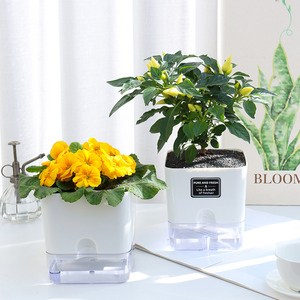 Pots de fleurs en plastique Oliz Pot de plantes auto-arrosantes <span class=keywords><strong>pour</strong></span> plantes d'intérieur - Product Image 6