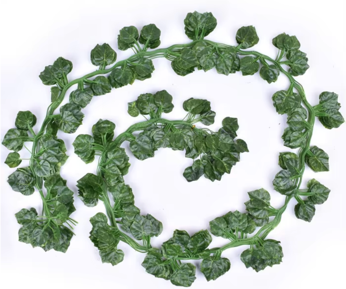 Green-81-leaf grape, one piece, around 2.1m