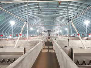 Chất Lượng Cao Thép Không Gỉ Vườn Ươm Lợn Trung Chuyển Máng Hai Mặt Duy Nhất Hai Mặt Mới Cho Ăn Thiết Bị Cho Lợn Trang Trại Bán Lẻ - Product Image 5