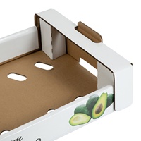 Golfkarton Papieren Kartonnen Verpakking Voor Granaatappel Oranje Appels Kiwi Dragon Fruit En Groente Verpakking