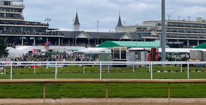 Tùy Chỉnh Cạnh Tranh Ngựa Theo Dõi Hàng Rào Bên Ngoài Cưỡi Arena PVC Đường Sắt Ngựa Đua Hàng Rào - Product Image 3